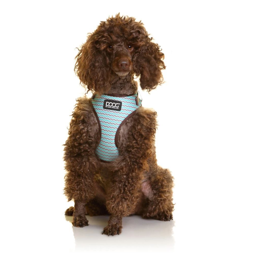 DOOG Neoflex Dog Harness Benji XS, S, M, L, XL image