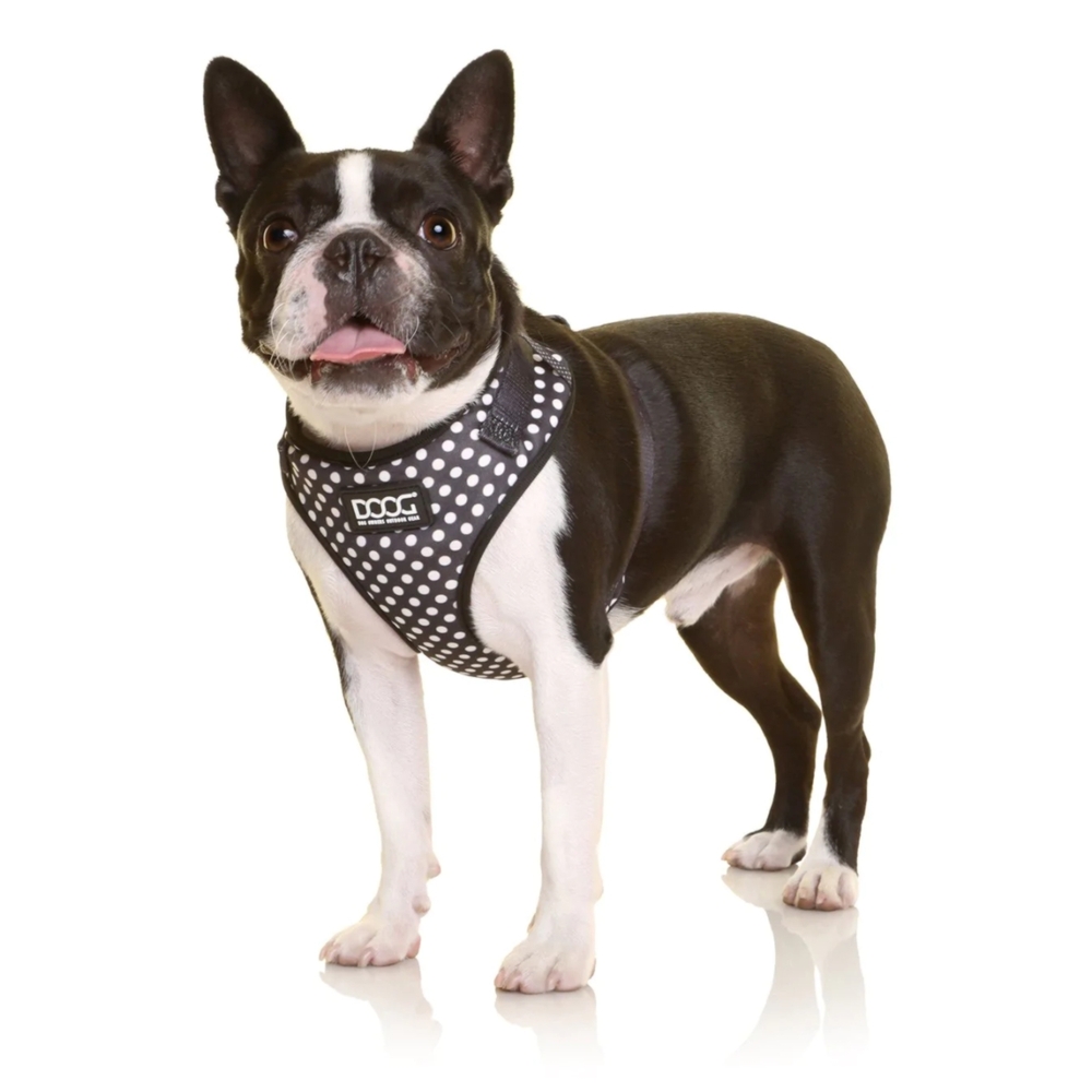 DOOG Neoflex Dog Harness Pongo XS, S, M, L, XL image
