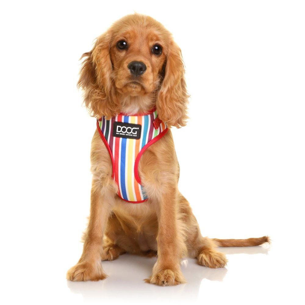 DOOG Neoflex Dog Harness Scooby XS, S, M, L, XL image