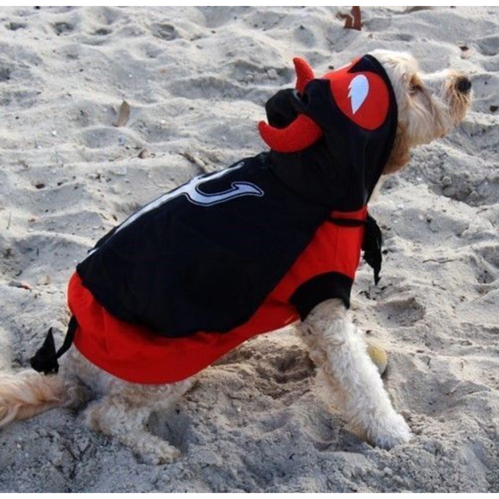Little Devil Dog Costume (20cm) image