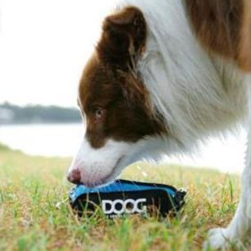 DOOG Foldable Dog Bowl Blue image