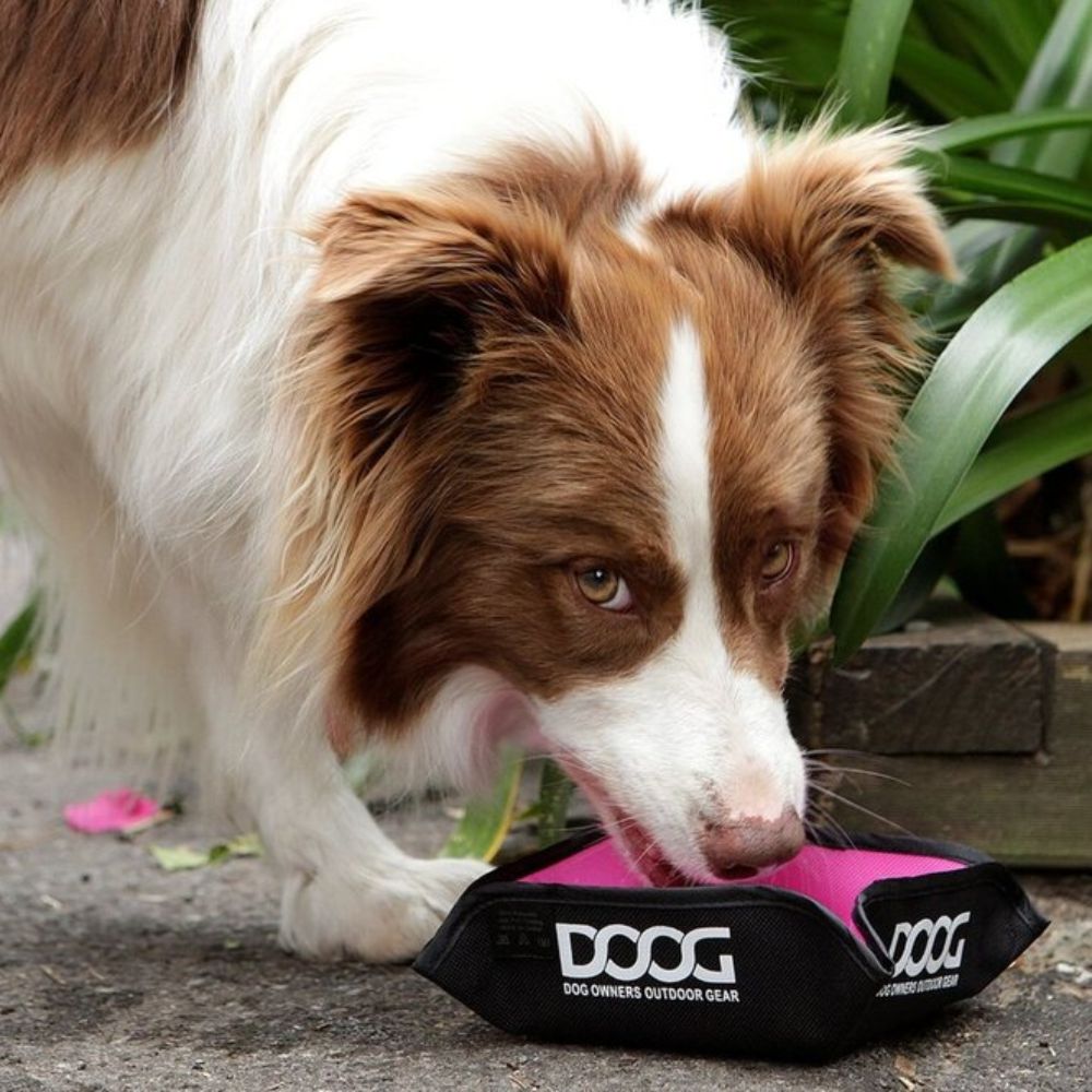 DOOG Foldable Dog Bowl Pink image
