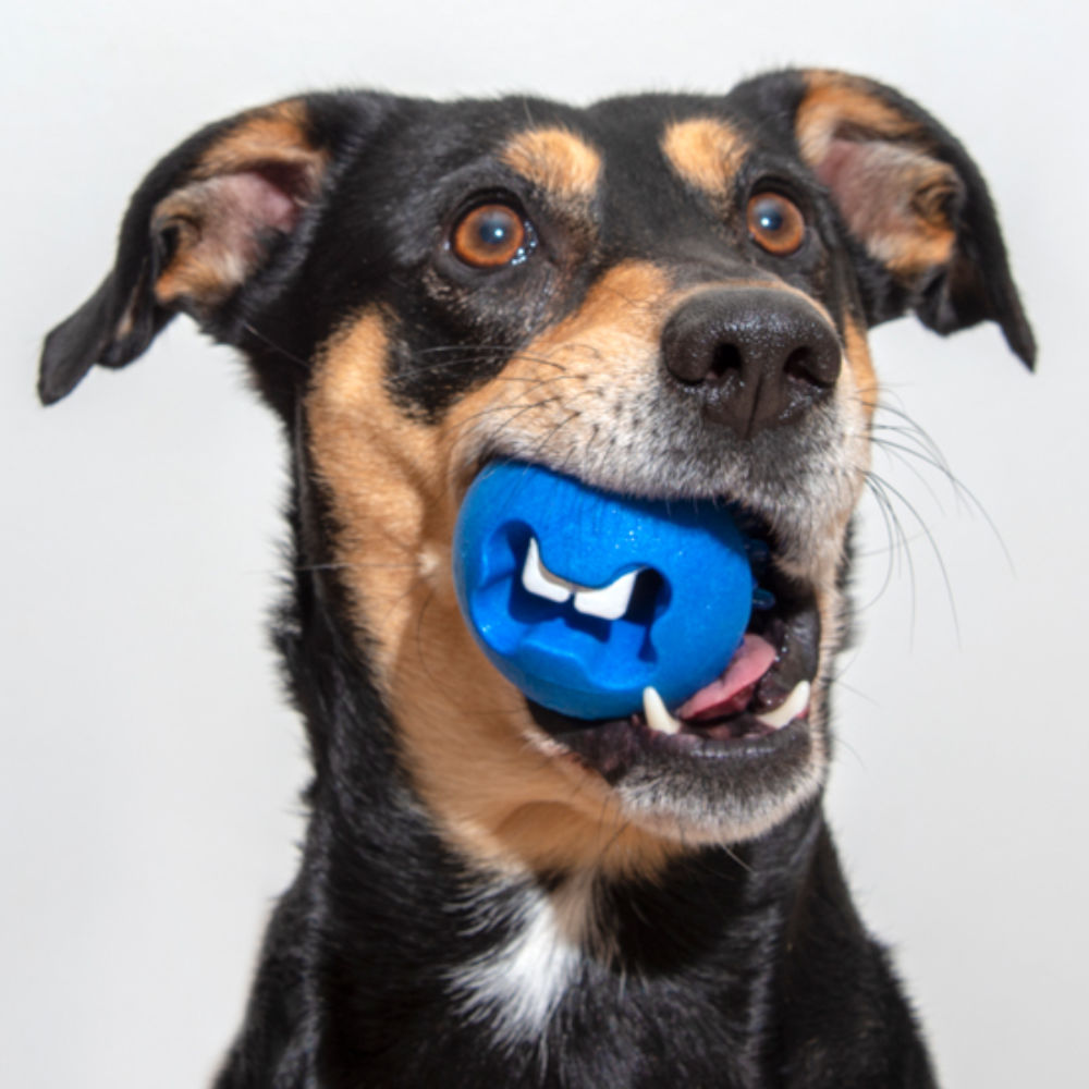 Rogz Fred Treat Dog Ball 6cm image