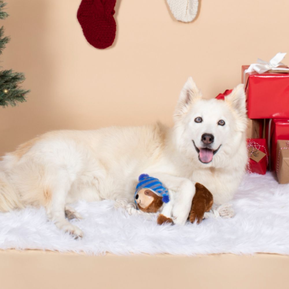 Fringe Studio Beanie Sweater Sloth on a Rope Christmas Dog Toy image