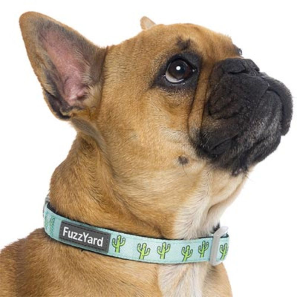 Fuzzyard Tucson Dog Collar (Large 50-65cm) image