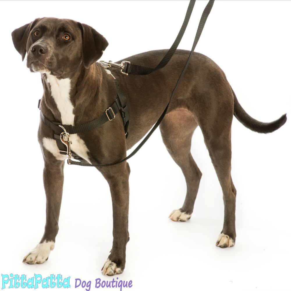 Freedom Training Dog Lead Black with Brown Handle image