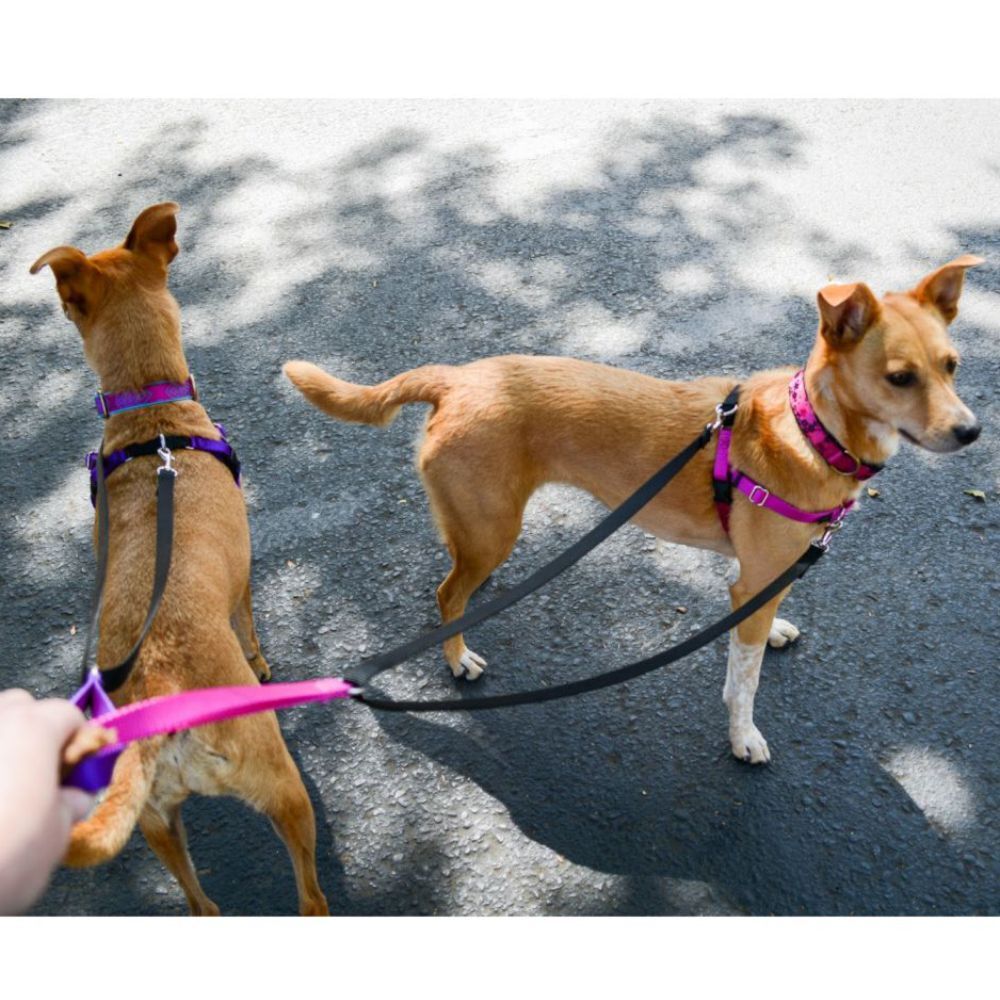 Freedom Training Dog Lead Black with Hot Pink Handle image