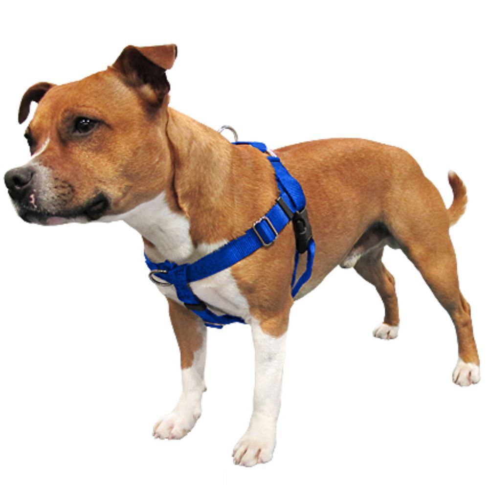 Freedom No Pull Dog Harness Royal Blue (Medium 1.6cm) image
