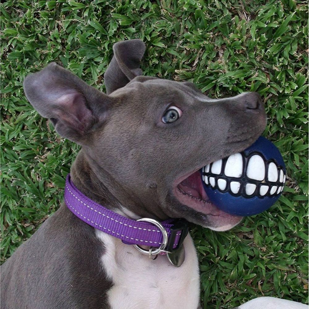 Rogz Grinz Treat Dog Ball Blue S, M, L image