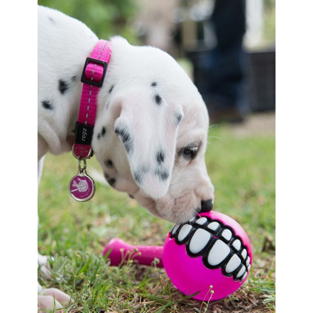 Rogz Grinz Treat Dog Ball Pink image