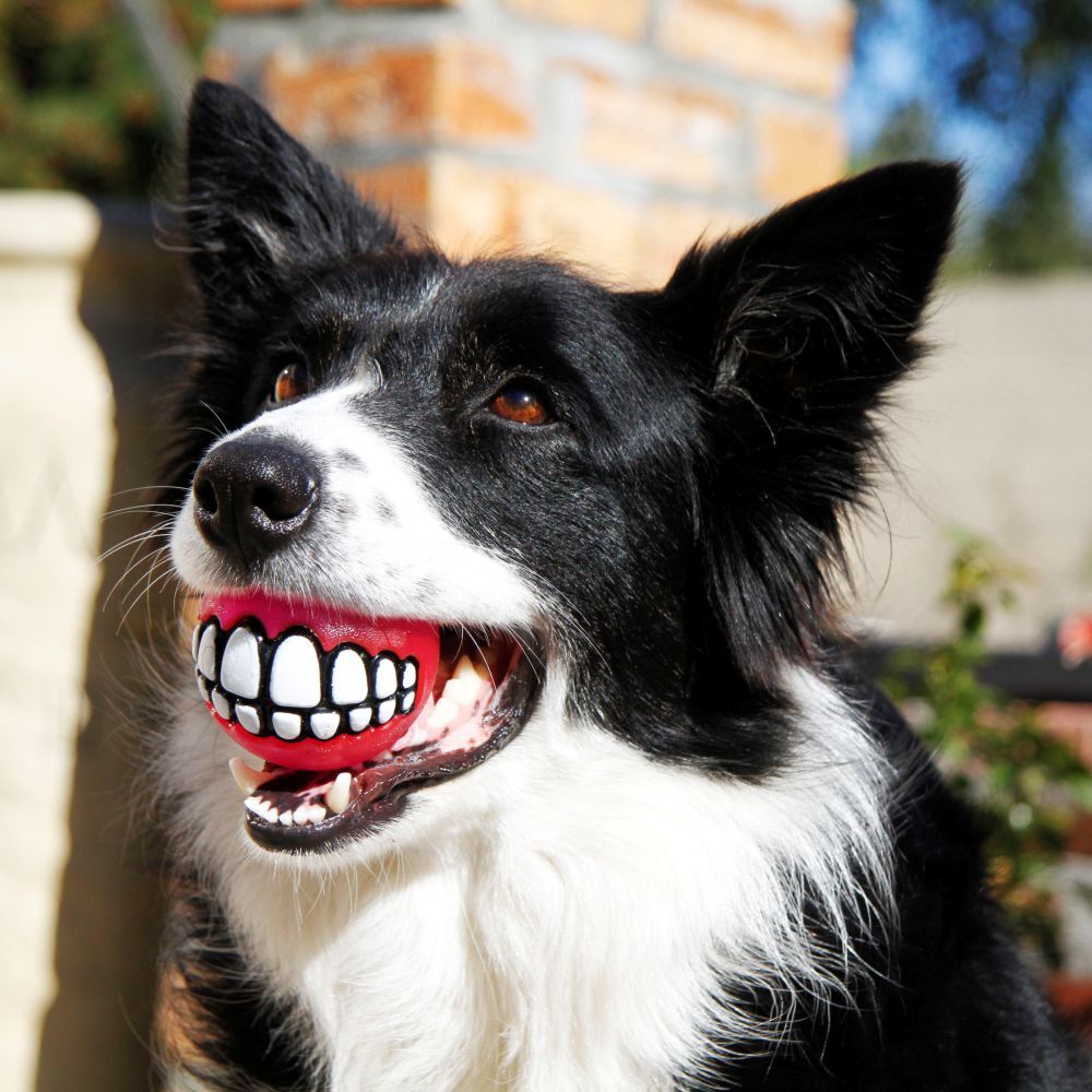 Rogz Grinz Treat Dog Ball Red S, M, L image
