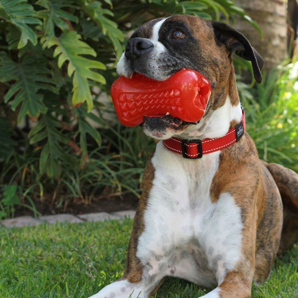 Rogz Classic Reflective Dog Collar, Red (XXLarge 50-80cm) image