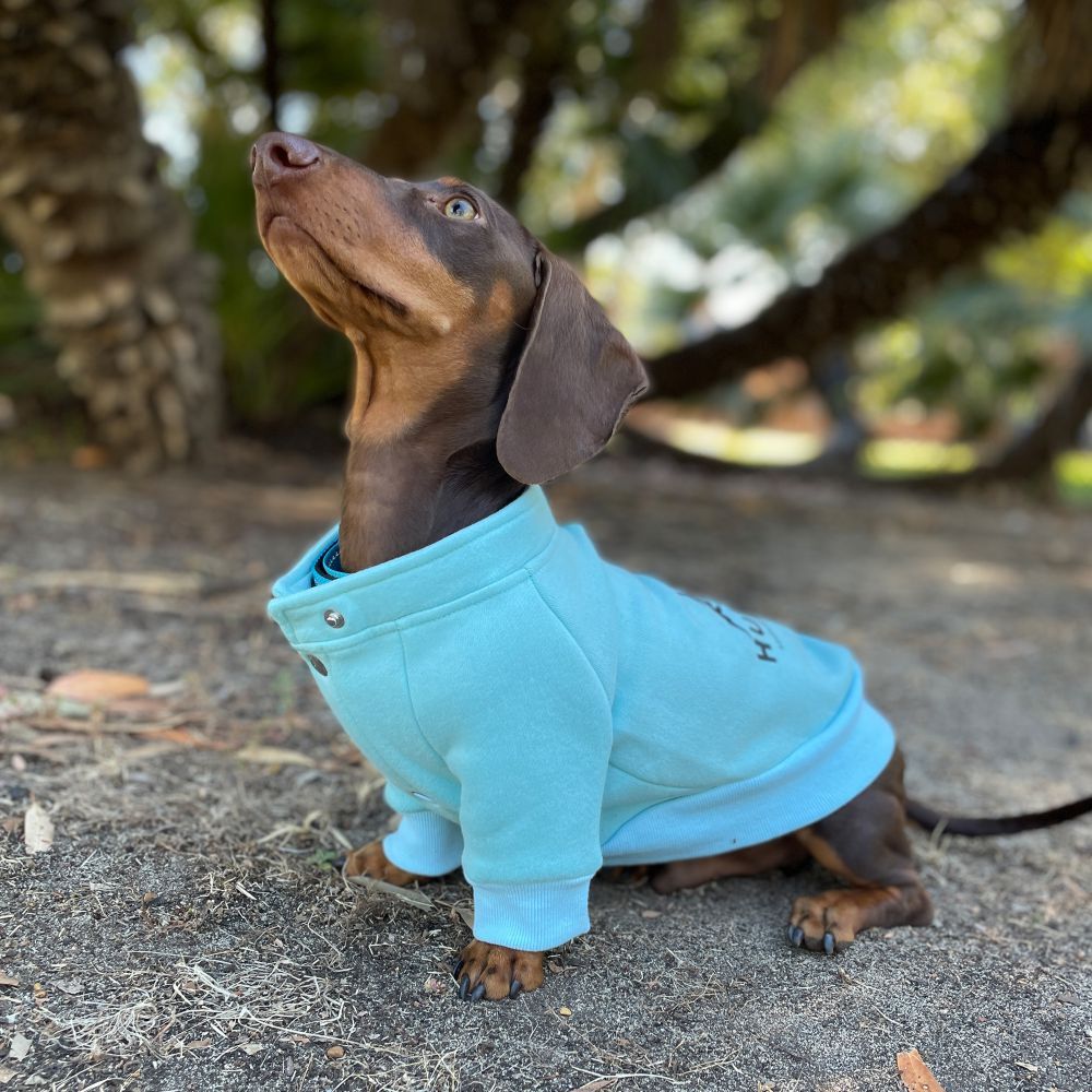 Huskimo Hartz Peak Lagoon Dog Coat with Removable Hood (60cm) image
