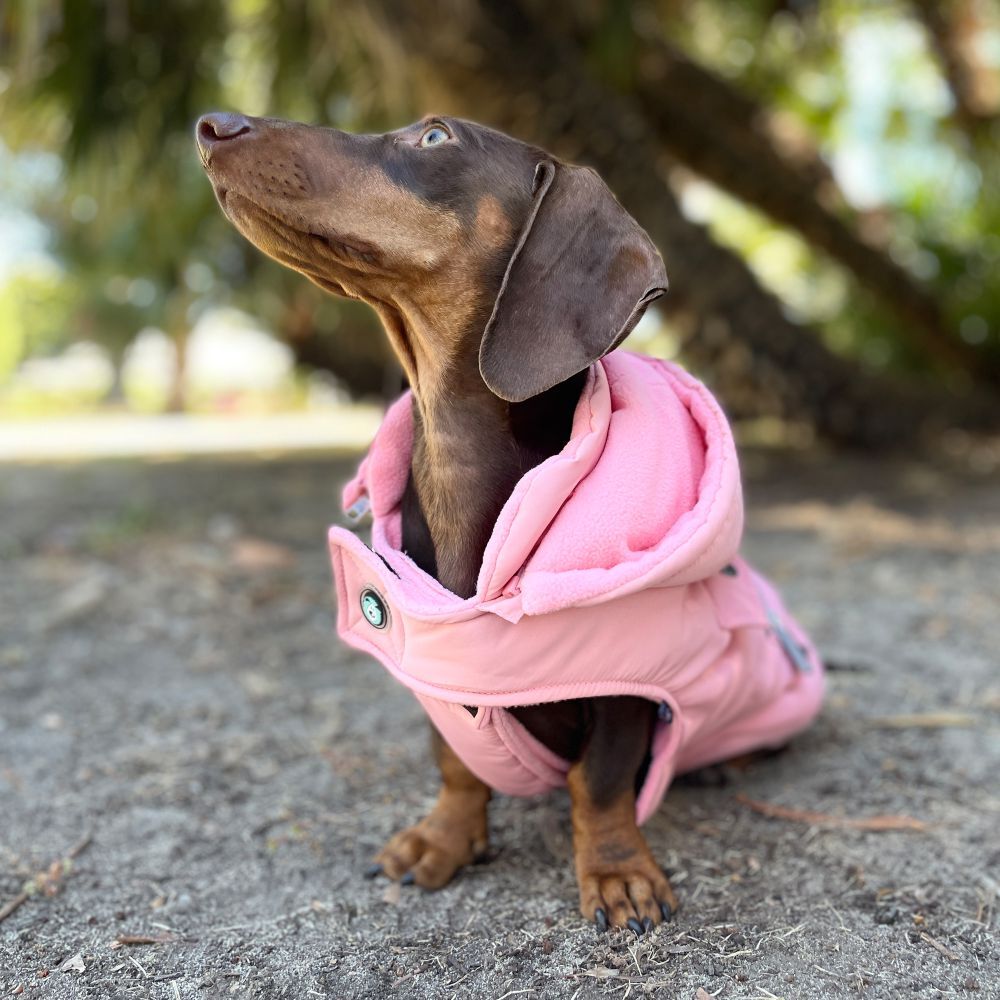 Huskimo Mt Buller Rose Pink Dog Coat with Removable Hood (46cm) image