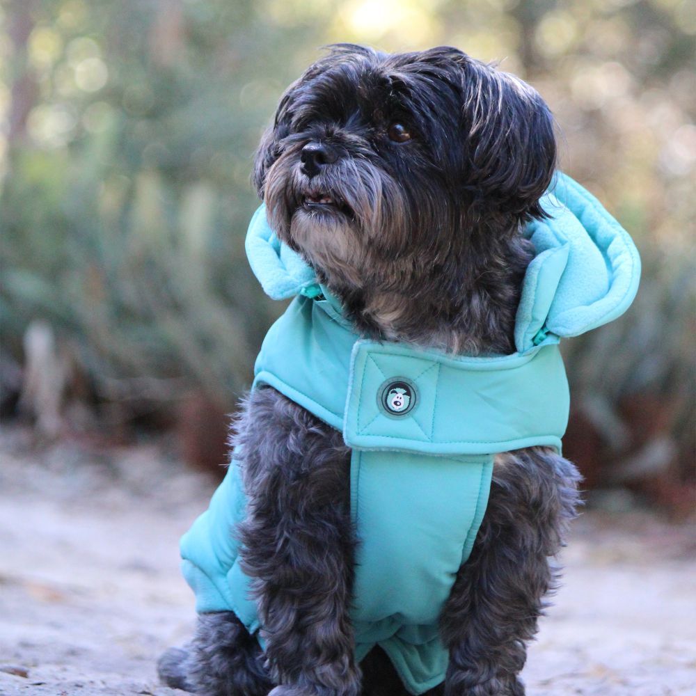 Huskimo Mt Buller Periwinkle Aqua Dog Coat with Removable Hood (60cm) image
