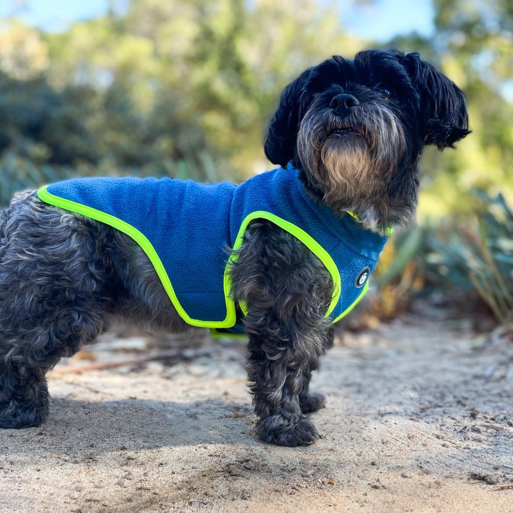 Huskimo Perisher Duo Jammie Dog Coat Tasman Blue (52.5cm) image