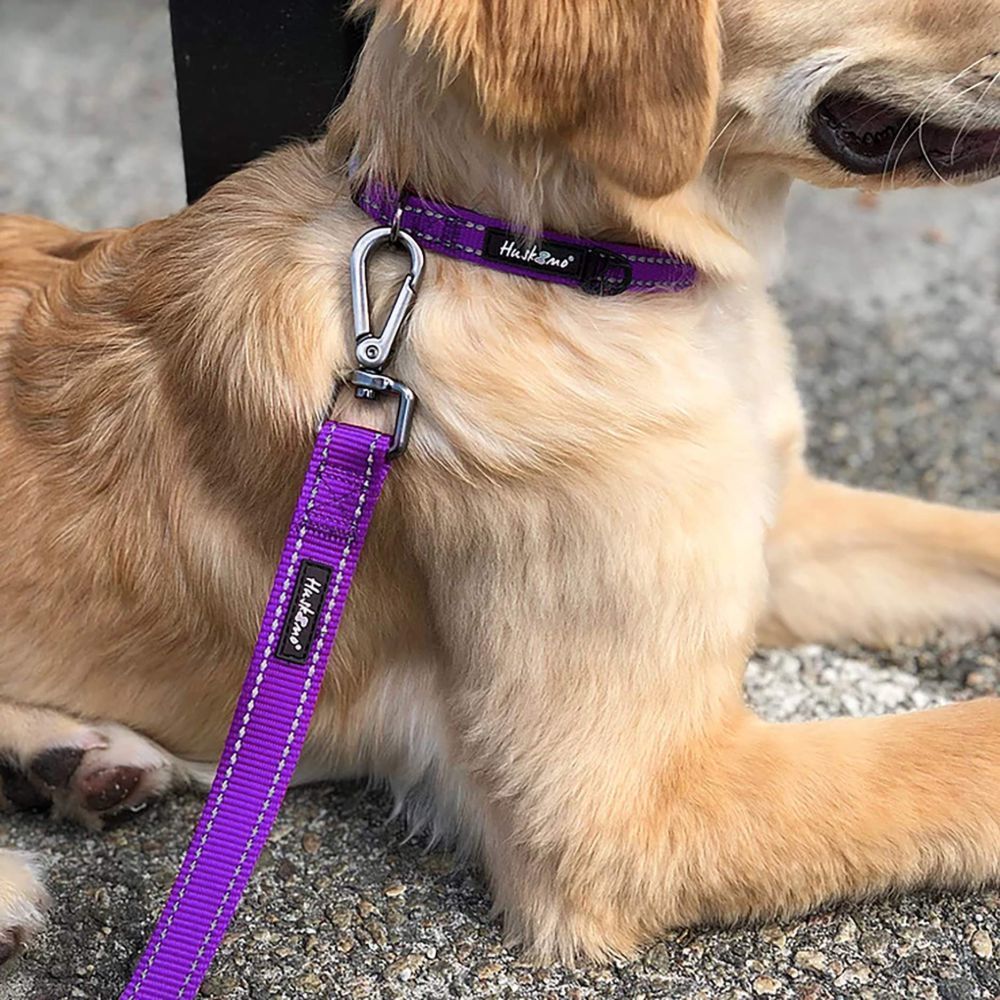Huskimo Trekpro Dog Collar Purple Aurora XS, S, M, L, XL image