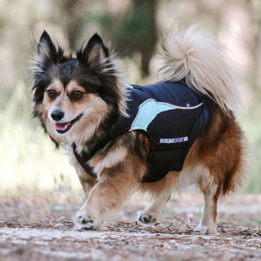 Huskimo Sherpa Black Dog Coat (27cm) image