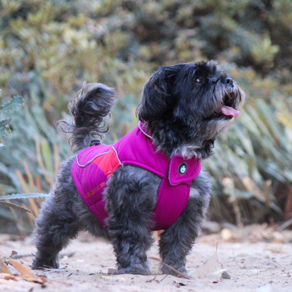 Huskimo Sherpa Magenta Dog Coat (27cm) image