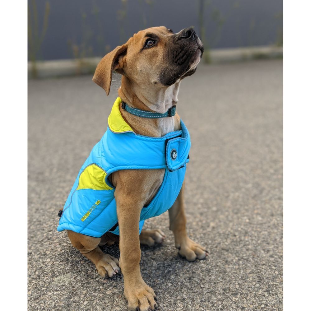 Huskimo Sherpa Bondi Blue Dog Coat (73cm) image