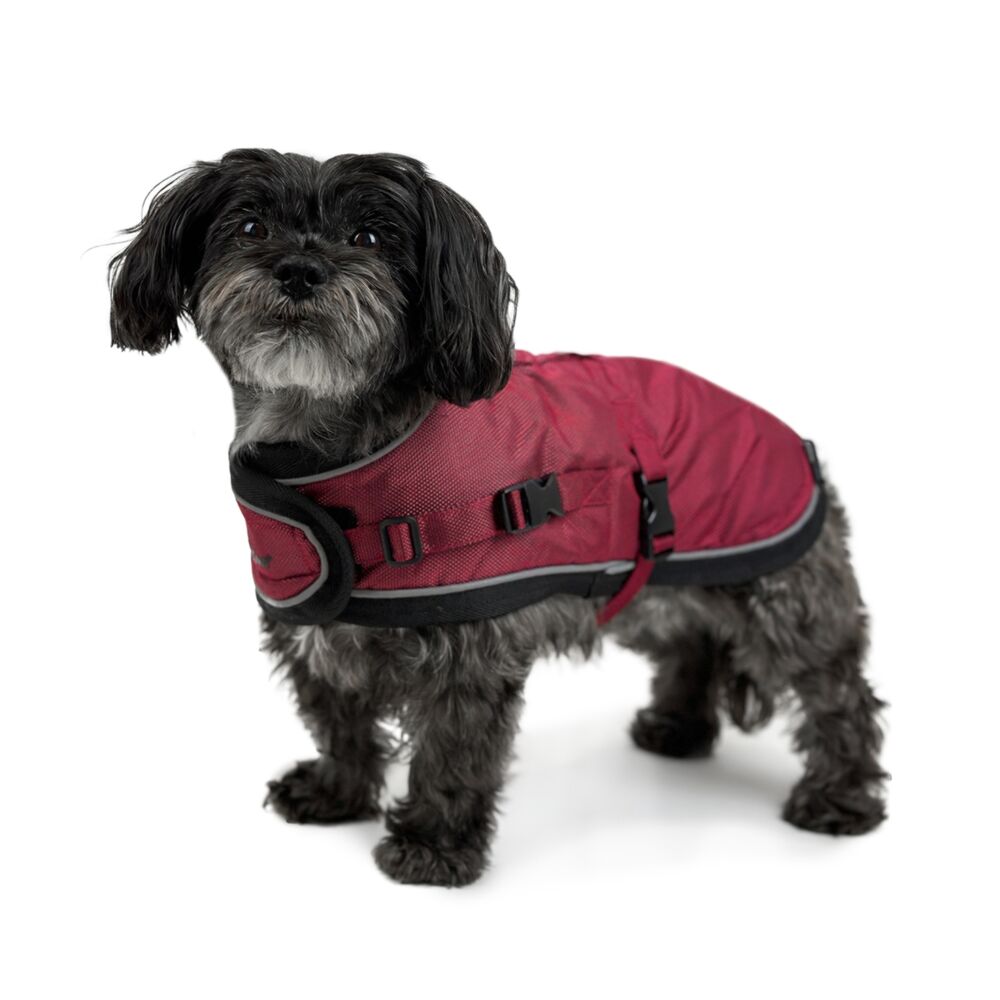 Huskimo Summit Pro Dog Coat Uluru Red (33cm) image