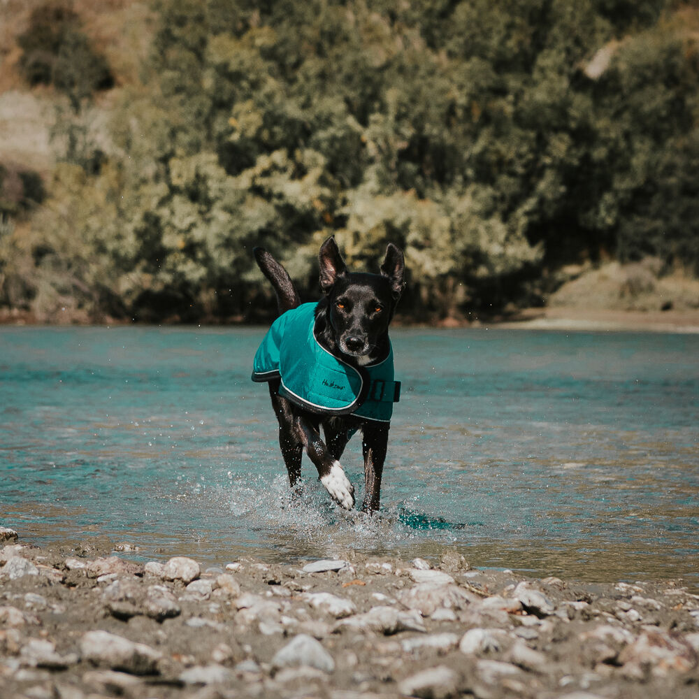 Huskimo Summit Pro Dog Coat Ningaloo (40cm) image