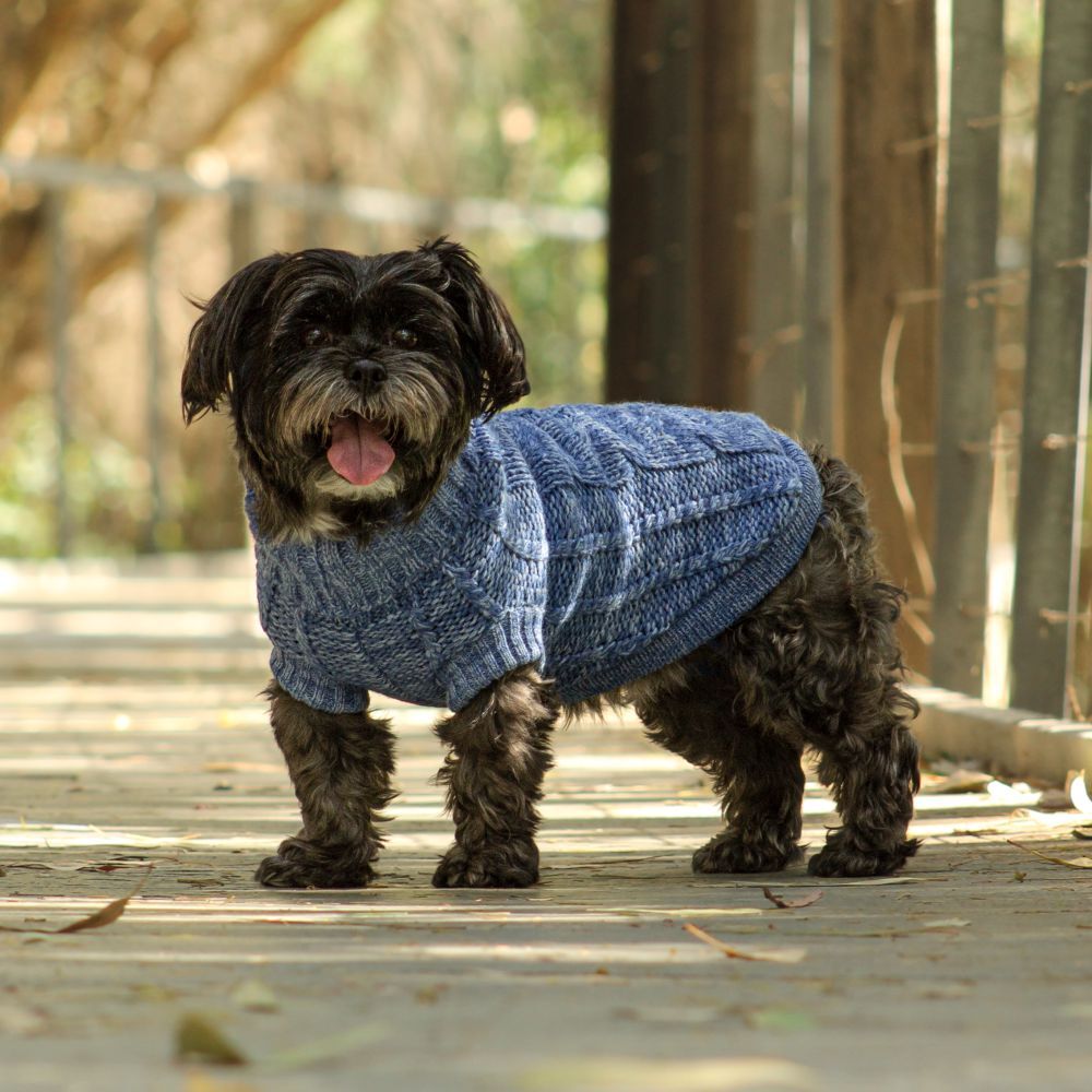 Dog jumper sale 2025