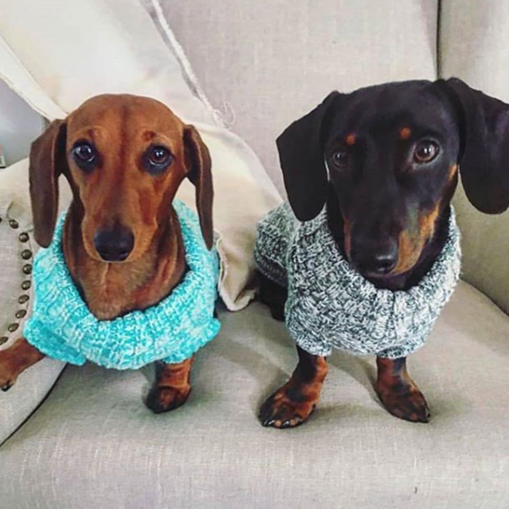 Huskimo Chunky Knit Turquoise Melange Dog Jumper (67cm) image