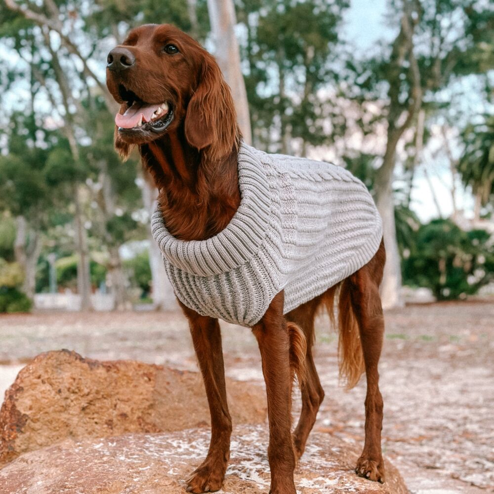 Huskimo Cali Knit Fog Grey Dog Jumper (52.5cm) image