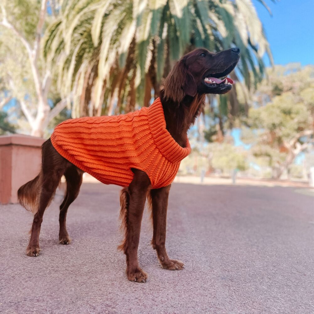 Huskimo Cali Knit Tangerine Dog Jumper (52.5cm) image