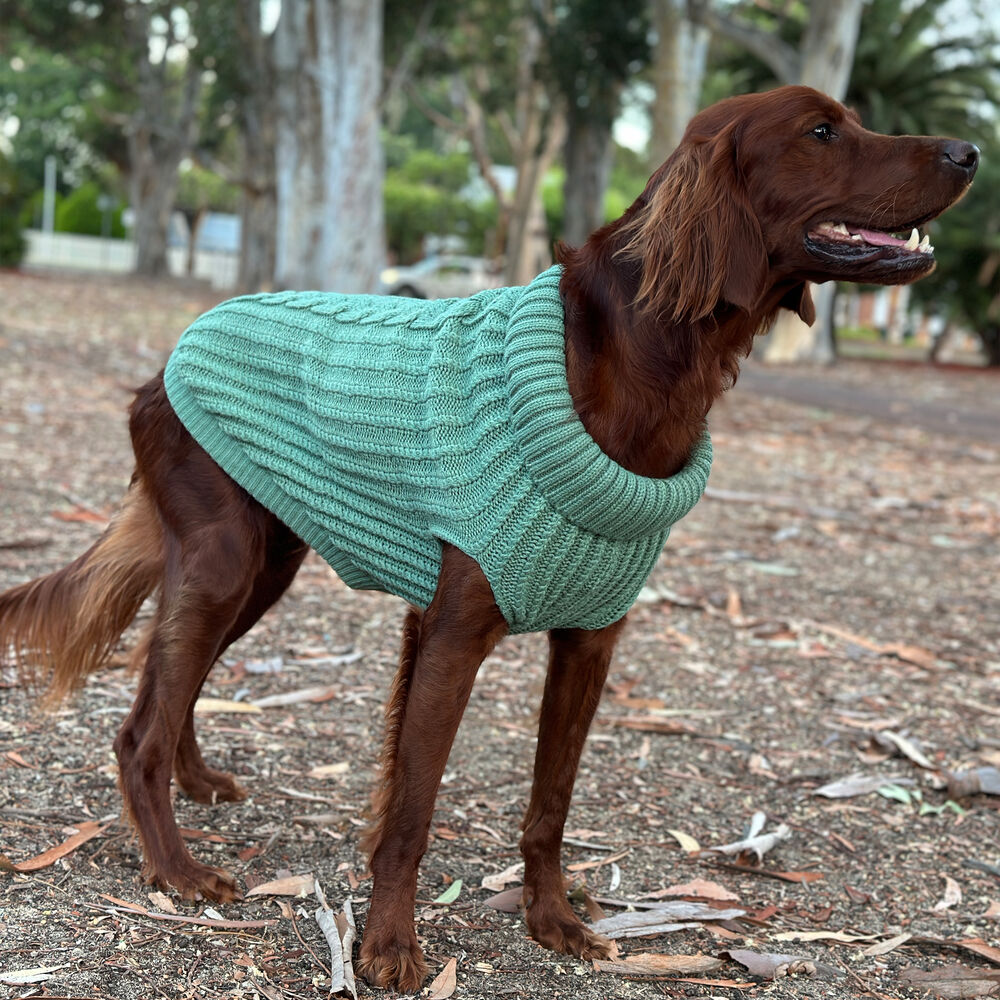 Huskimo Cali Knit Gumtree Dog Jumper (60cm) image