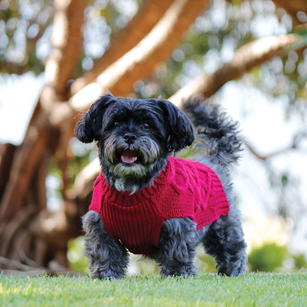 Huskimo Diamond Cable Dog Jumper Scarlet (27cm) image