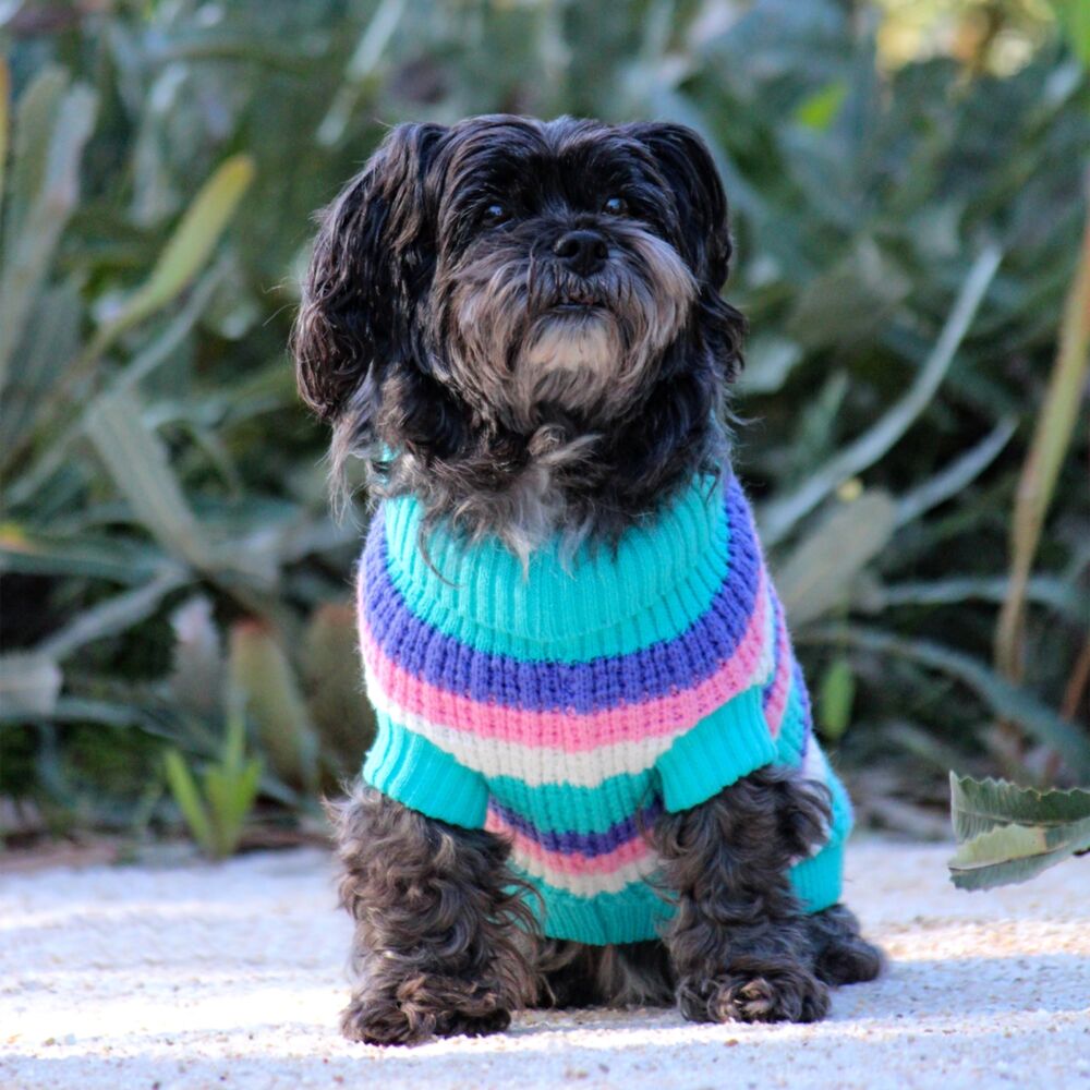 Huskimo Soho Knit Cyan Crush Dog Jumper (33cm) image