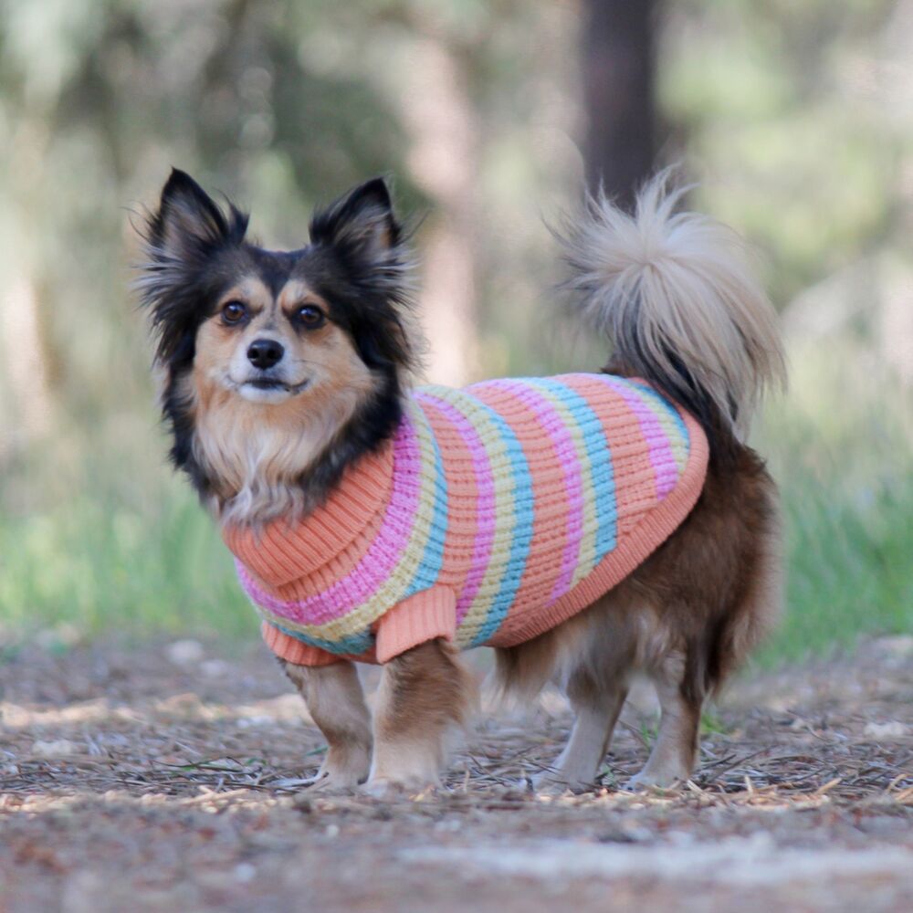 Huskimo Soho Knit Sherbert Dog Jumper (60cm) image