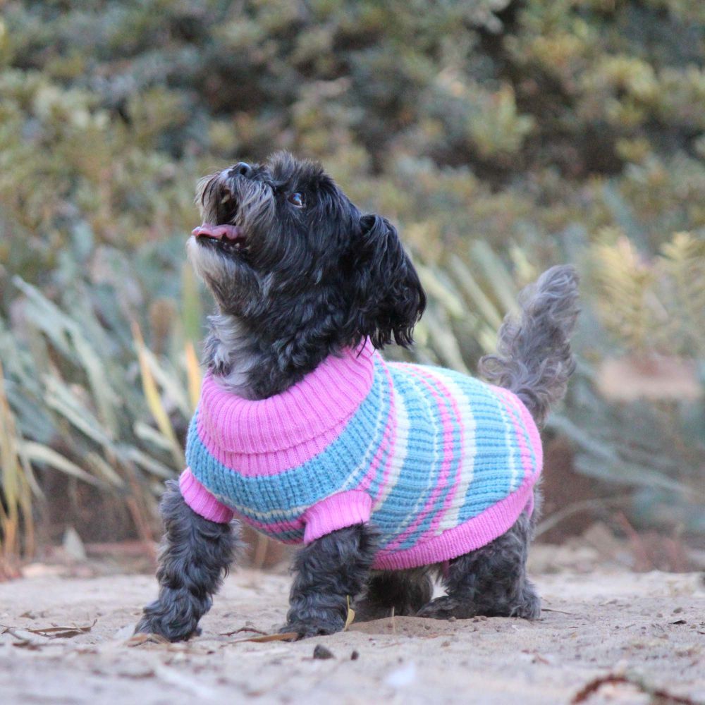 Huskimo Ski Lodge Pink Dog Jumper (33cm) image