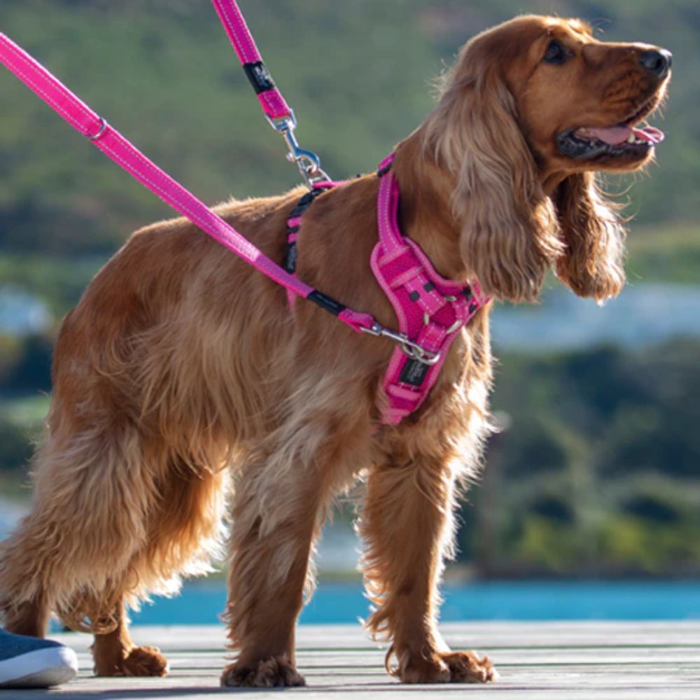 Rogz Reflective Multi Function Lead Pink (XLarge) image