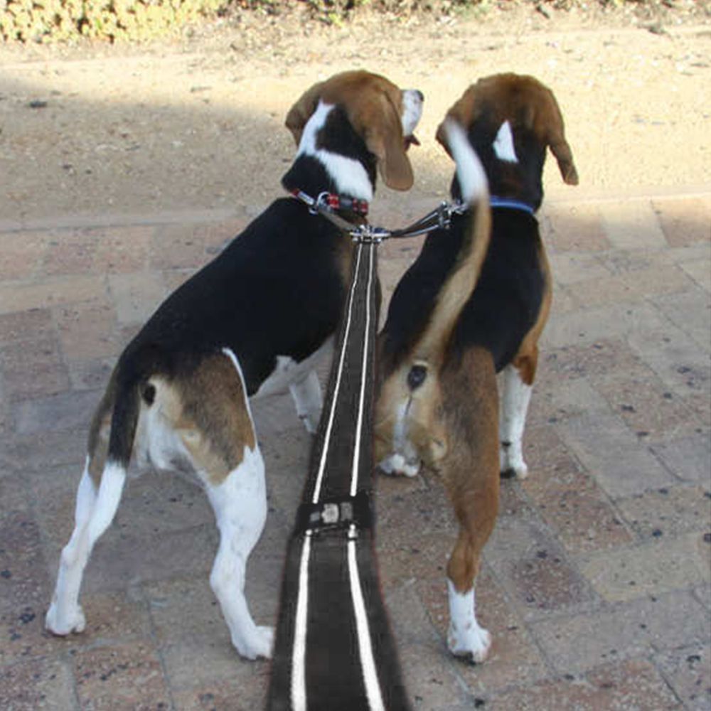 Rogz Double Split Lead Reflective Black M, L, XL image