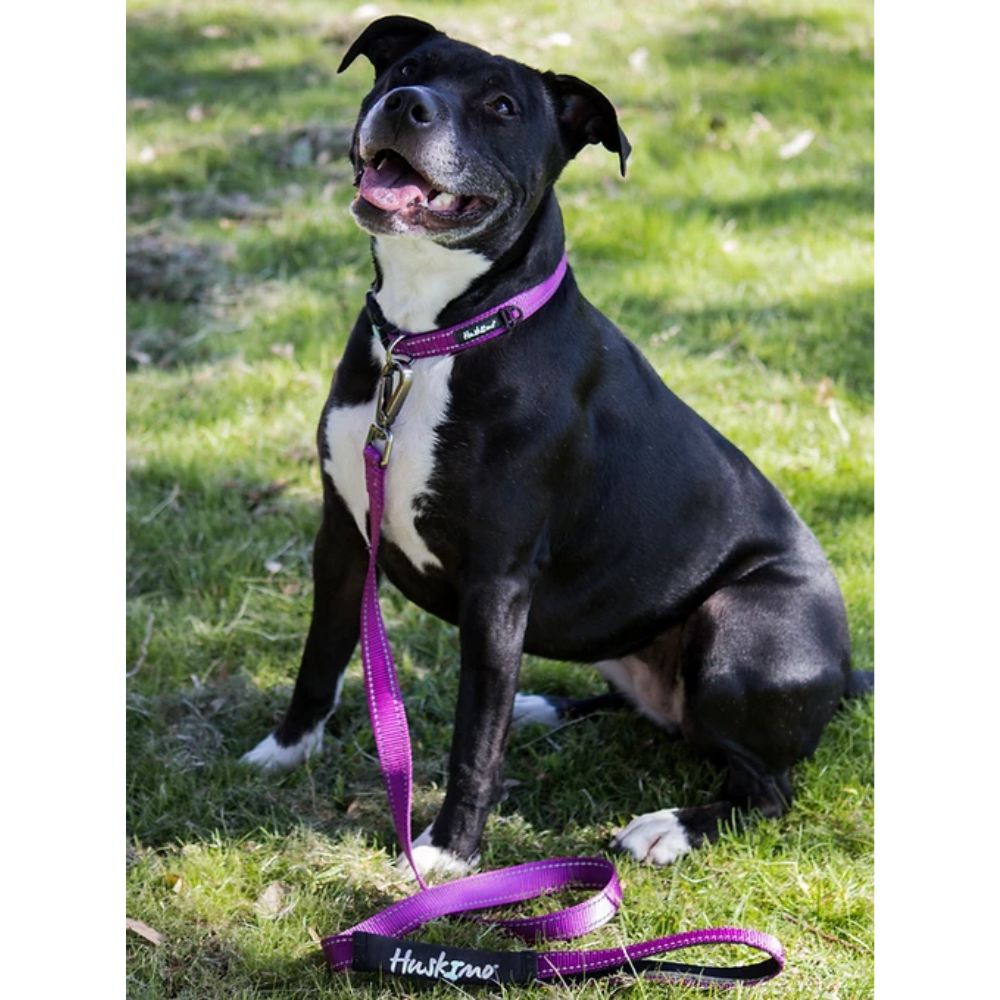 Huskimo Trekpro Dog Lead Purple Aurora Mini, Small, Large image
