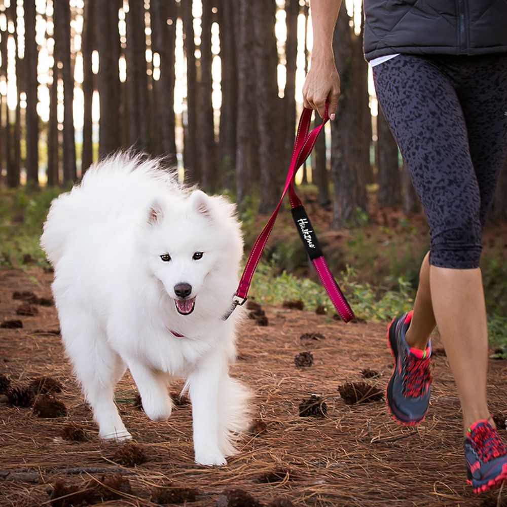 Huskimo Trekpro Dog Lead Uluru Red Mini, Small, Large image