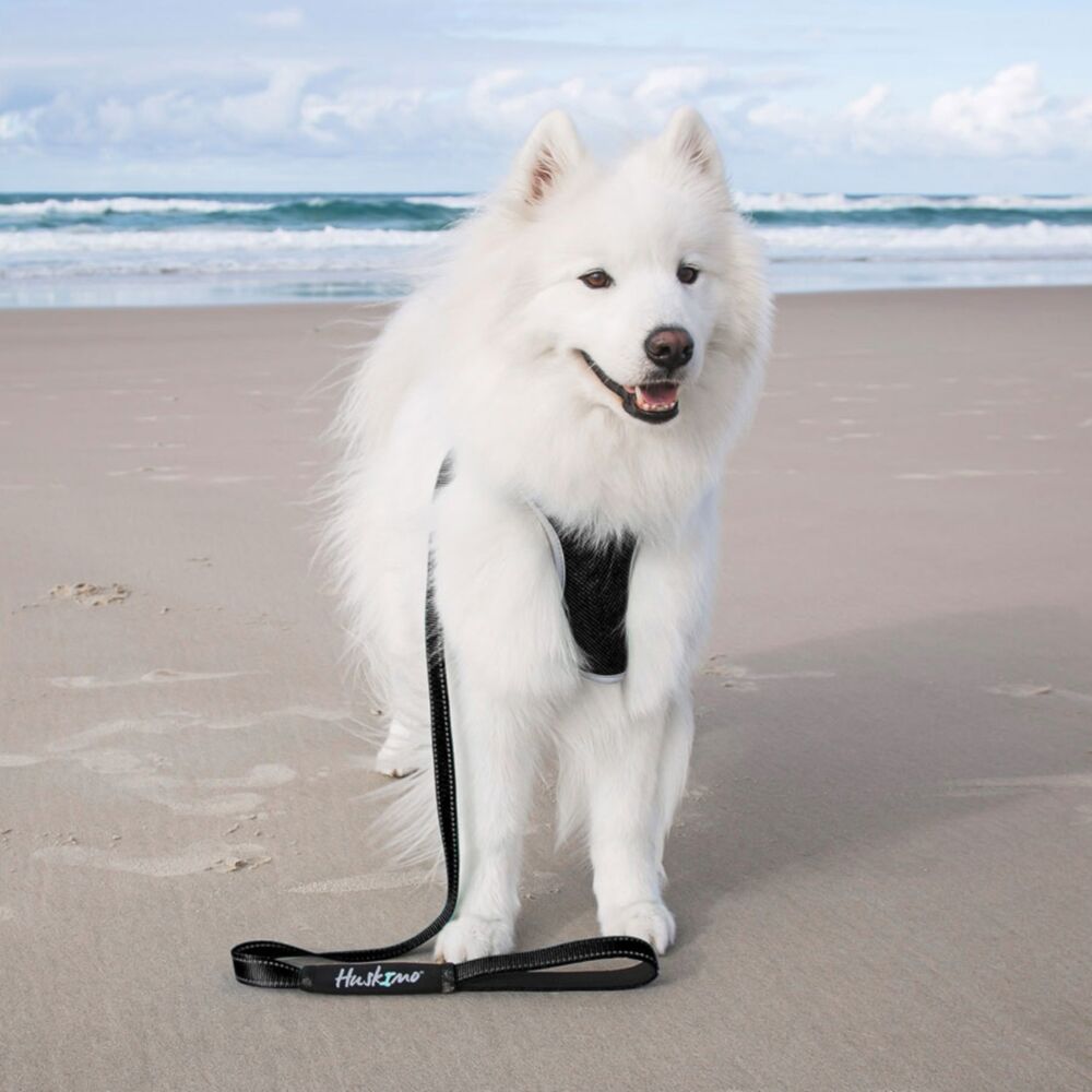 Huskimo Trekpro Dog Lead Dark Sky (Small) image