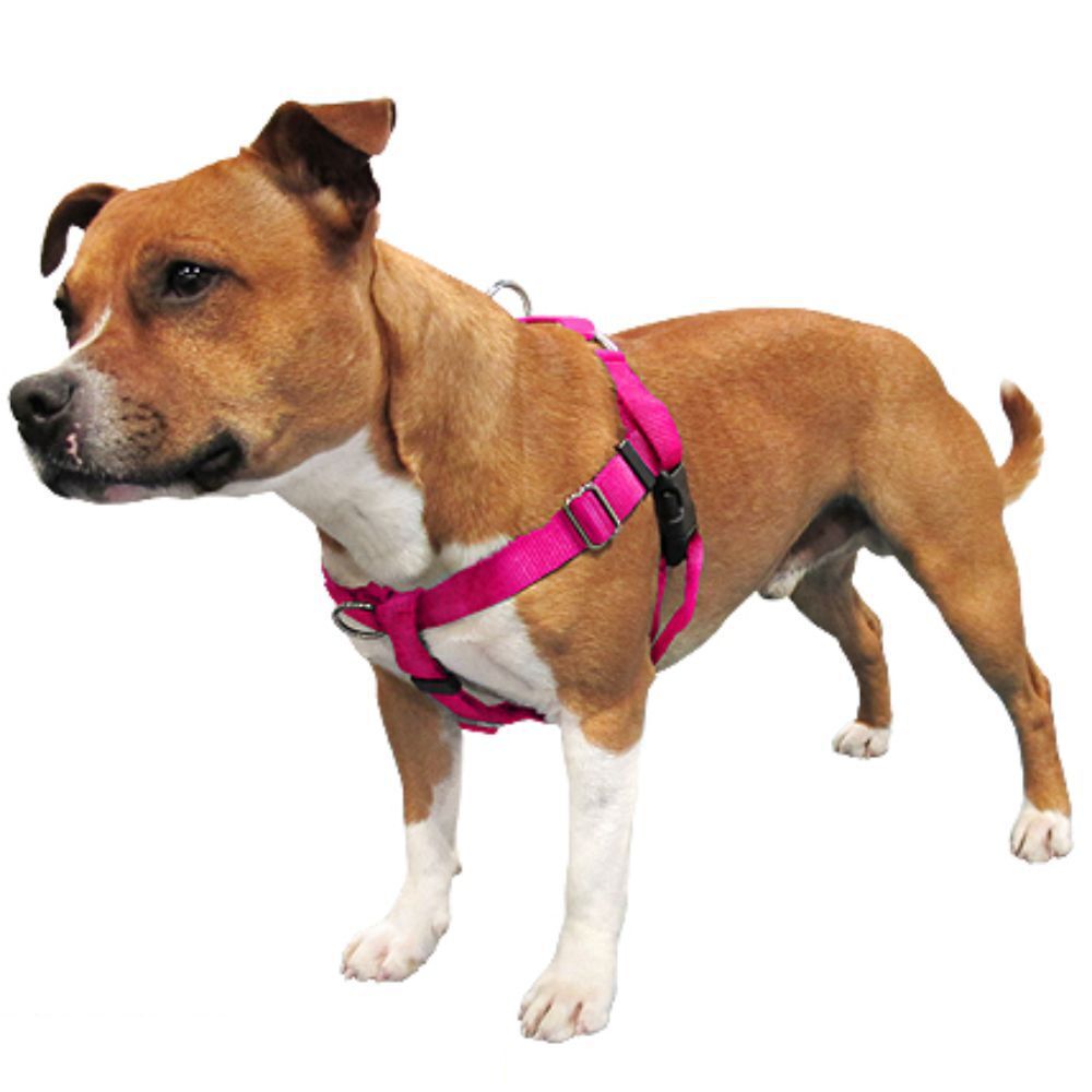 Freedom No Pull Dog Harness Hot Pink (XXLarge 2.5cm) image