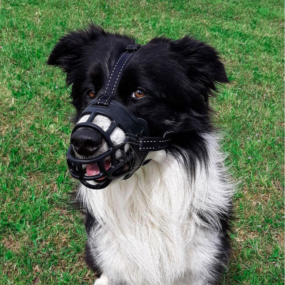 Huskimo Specialist Freedom Dog Muzzle (Large) image