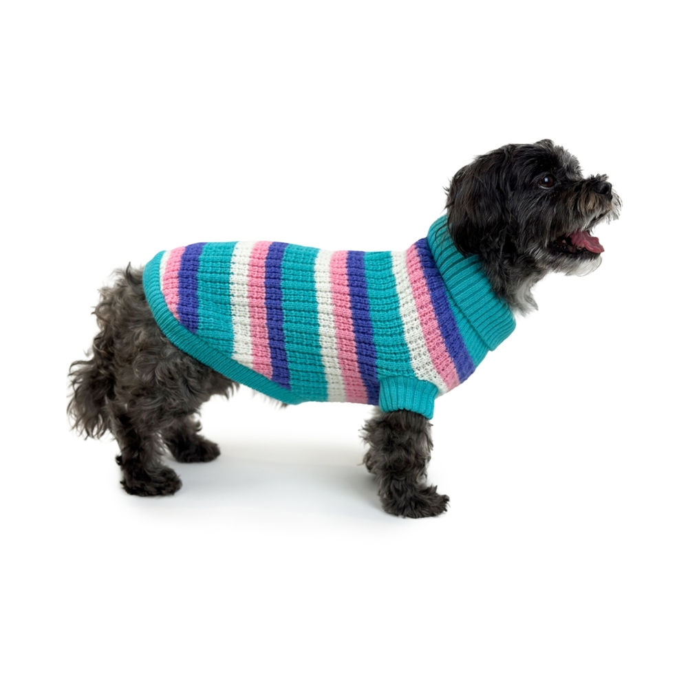 Huskimo Soho Knit Cyan Crush Dog Jumper PittaPatta Boutique