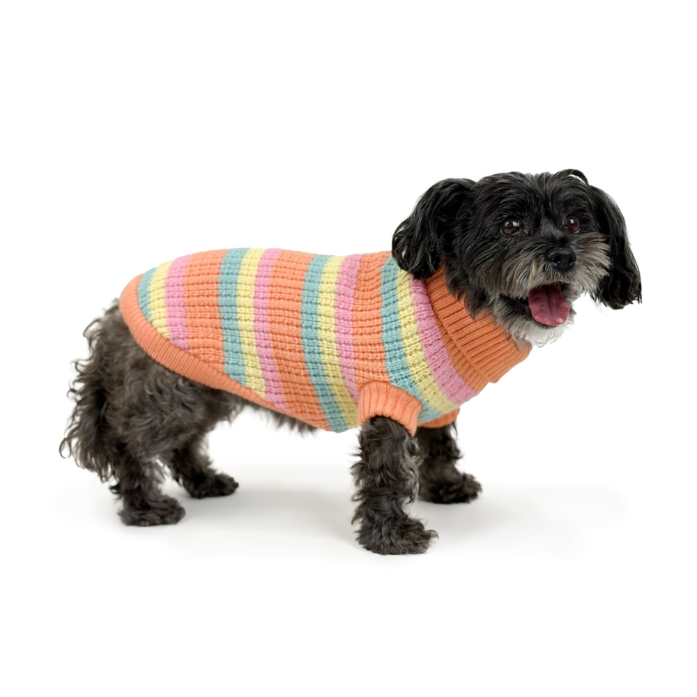 Huskimo Soho Knit Sherbert Dog Jumper 22cm, 27cm, 52cm, 60cm image