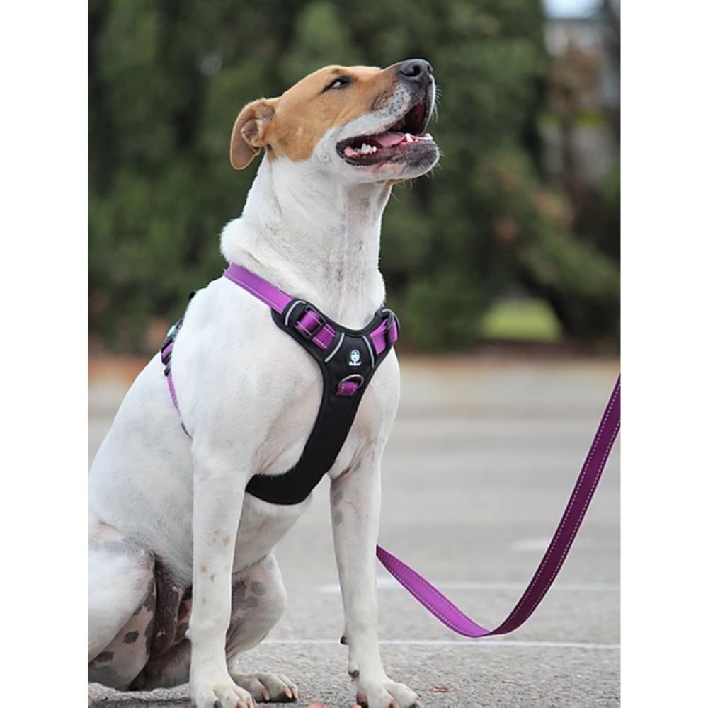 Huskimo Ultimate Dog Harness Purple Aurora  XS, S, M, L, XL image