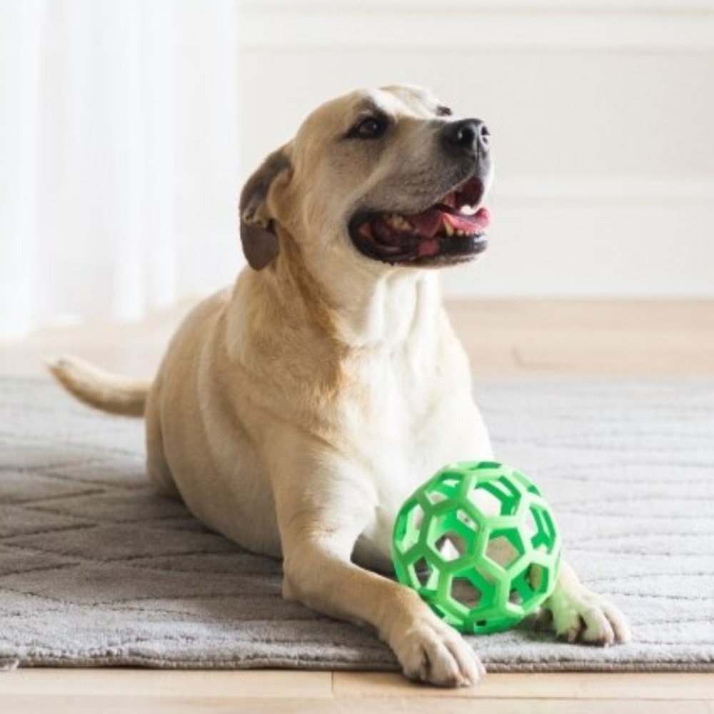 JW PET Hol-ee Roller Dog Toy Mini 5cm image