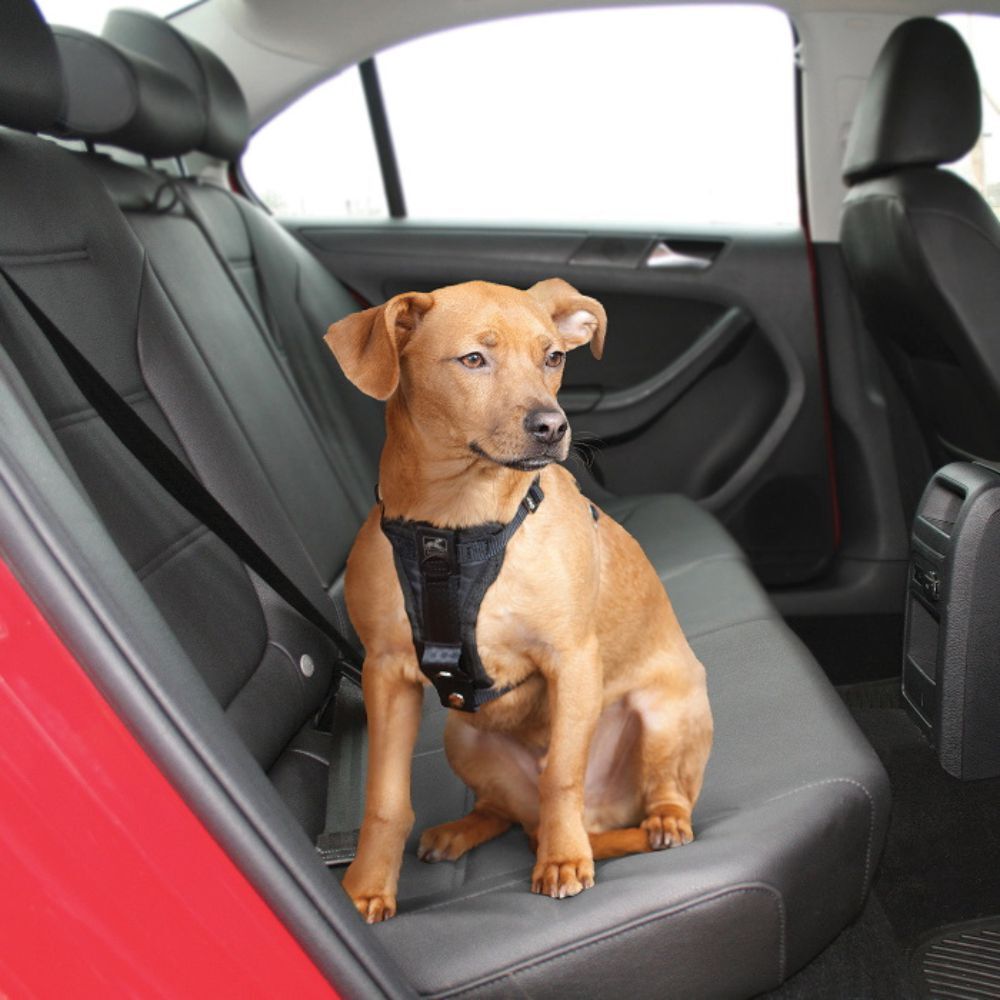Kurgo Tru-Fit Smart Walking and Car Dog Harness with Restraint Black Medium image