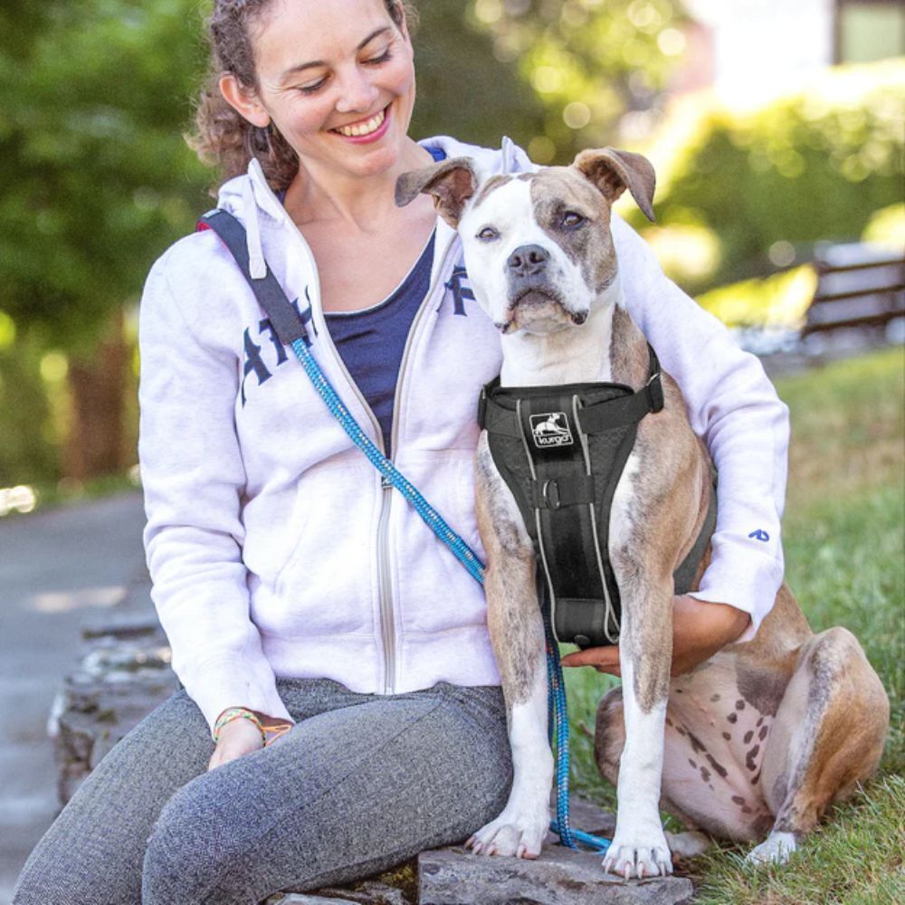 Kurgo Tru-Fit Smart Walking and Car Dog Harness with Restraint Black Large image