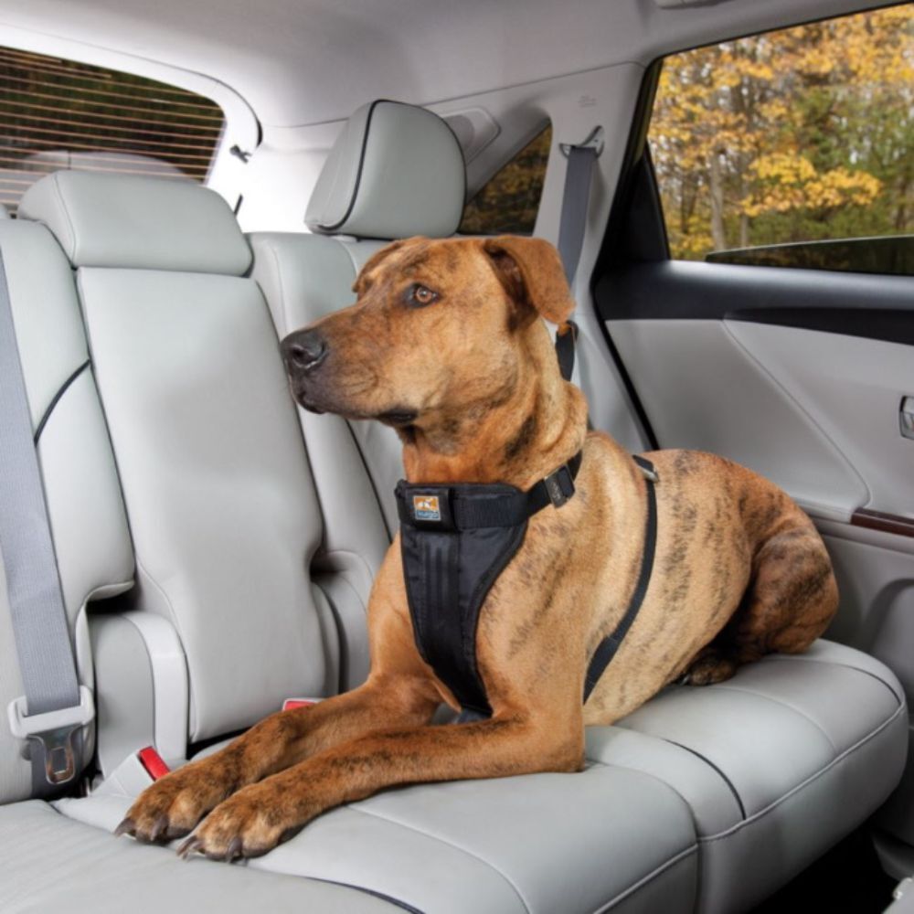 Kurgo Tru-Fit Smart Walking and Car Dog Harness with Restraint Black XLarge image