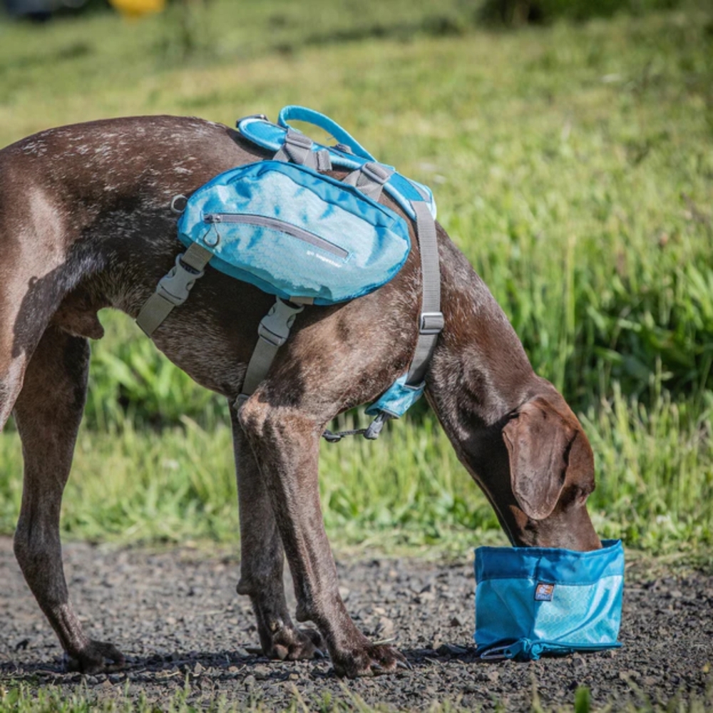 Kurgo Zippy 1400ml Portable Dog Bowl Coastal Blue image
